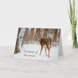 Säsonhälsningar julkort för Whitetail Hjort Helgkort
