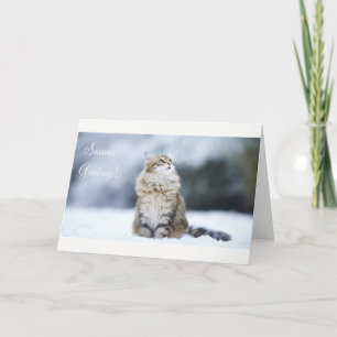 Säsonhälsningar Julkort Katt Helgkort