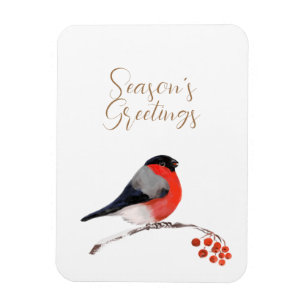 Säsonhälsningar med omskrivet Bullfinch Card Magnet