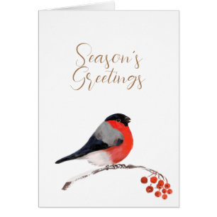 Säsonhälsningar med omskrivet Bullfinch Card OBS Kort