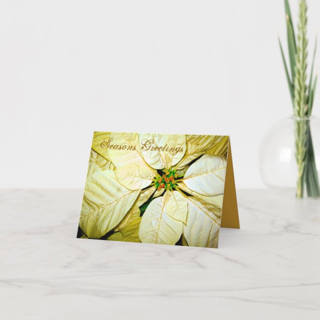 Säsonhälsningar Pointsettia_ Card Helgkort (Framsida)