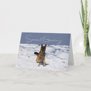 Säsonhälsningar Tyska shepherd i Snö Card Helgkort