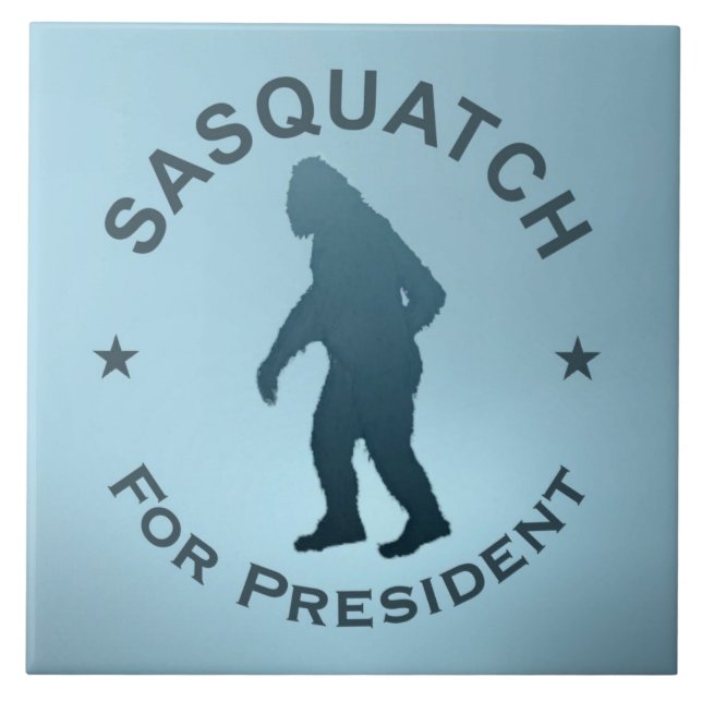 Sasquatch for President Kakelplatta (Framsidan)