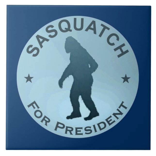 Sasquatch for President Kakelplatta (Framsidan)