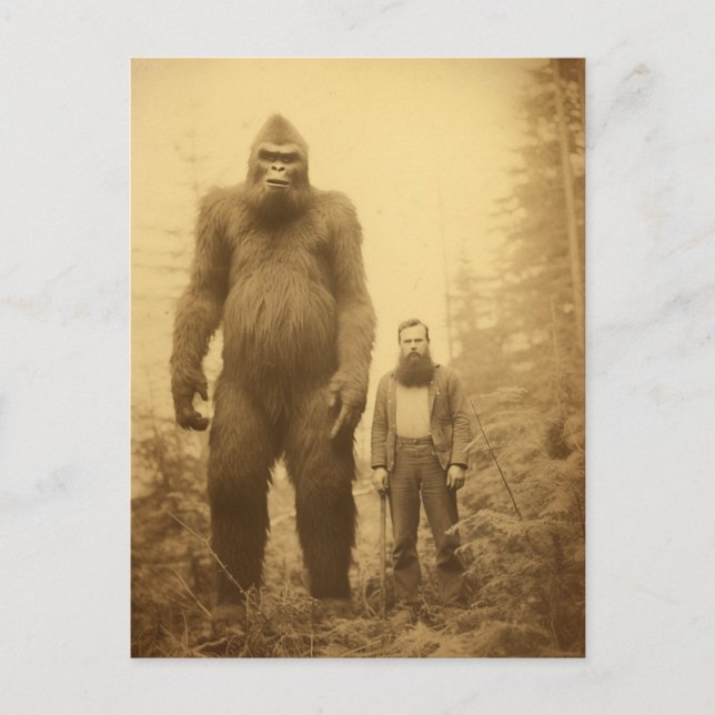 Sasquatch skogshuggare vykort (Framsida)