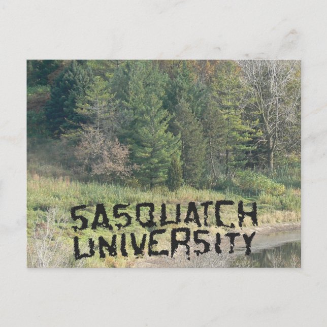 Sasquatch Universiteten - Många Vykort (Framsida)