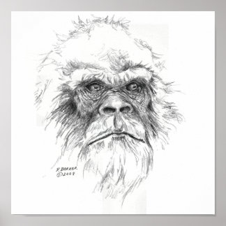 Sasquatch-utskrifter Poster