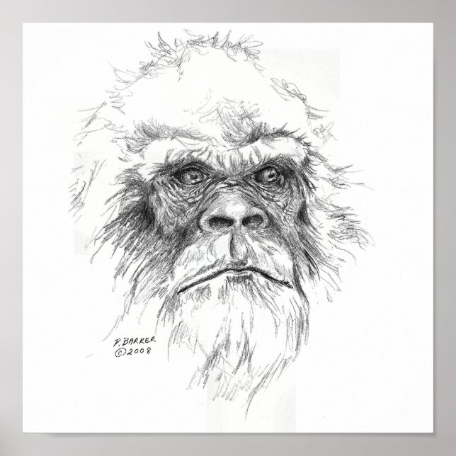 Sasquatch-utskrifter Poster (Framsidan)