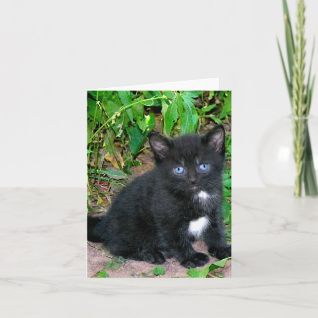 Sassa noterar kortet kort (Framsida)