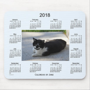 Sassy kalender för katt 2018 vid Janz Musmatta