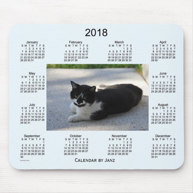 Sassy kalender för katt 2018 vid Janz Musmatta (Framsidan)