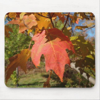 Sassy Mousepad av naturen Musmatta