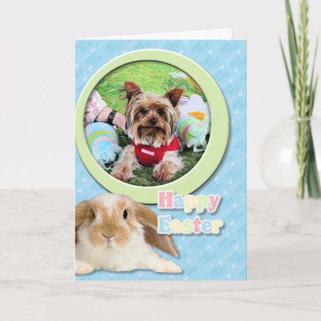 Sassy påsk - Yorkshire Terrier - Helgkort (Framsida)