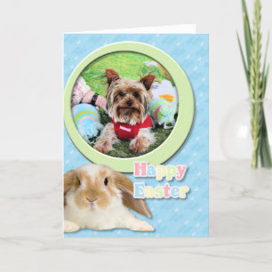 Sassy påsk - Yorkshire Terrier - Helgkort