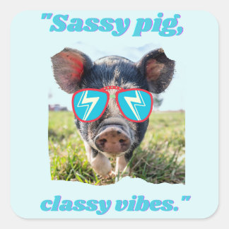 Sassy Pig Classic Vibes- Gris Citat Fyrkantigt Klistermärke