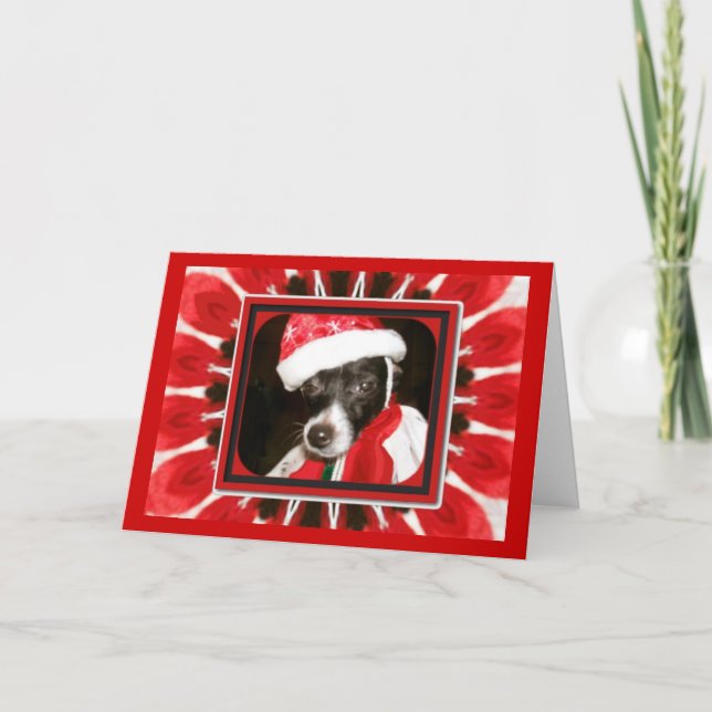Sassy Santa Hund Helgkort (Framsida)