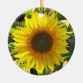 Sassy Solros Ornament