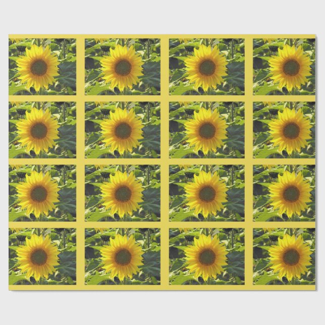 Sassy sommarsolblommor Papper Presentpapper (Platt)