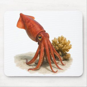 Sassy Squid on Patrol Musmatta