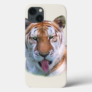 Sassy tigerkattanpassade