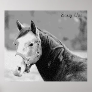 Sassy Una-utskrift Poster