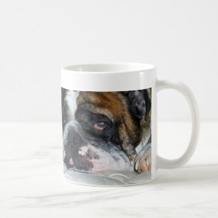 Sassydog sömnig engelsk bulldoggmugg kaffemugg
