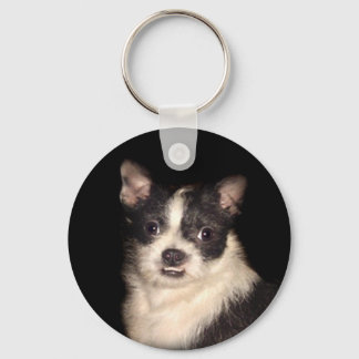 Sassys nyckelkedja nyckelring