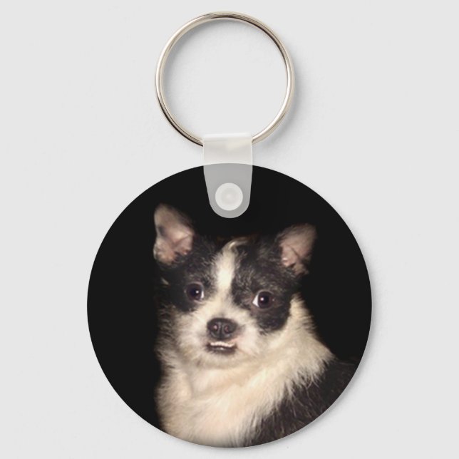 Sassys nyckelkedja nyckelring (Framsida)