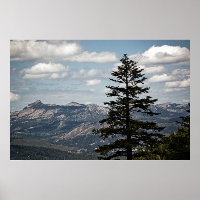 Säte med en Visa-utskrift Poster (Framsidan)