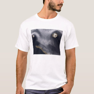 Satellit- avbilda av den Semisopochnoi ön Tee Shirt