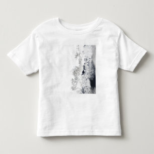 Satellit- beskåda av den östliga kusten av t shirt
