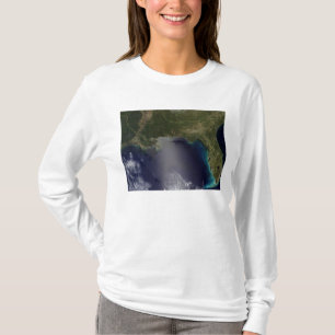 Satellit- beskåda av det sydöstliga enigt påst t-shirt