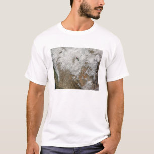 Satellit- beskåda av det westerna Unitedet States Tee Shirt