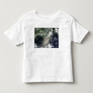 Satellit- beskåda av görar strimmig och rosett t-shirt