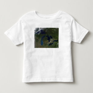 Satellit- beskåda av Greaten Lakes T-shirt