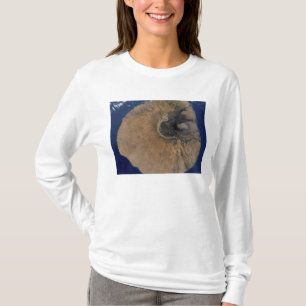 Satellit- beskåda av monteringen Fogo Tee Shirt
