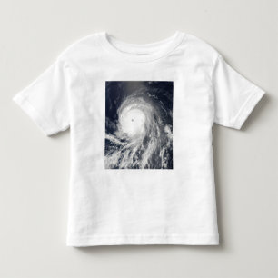 Satellit- beskåda av orkanen Celia Tee