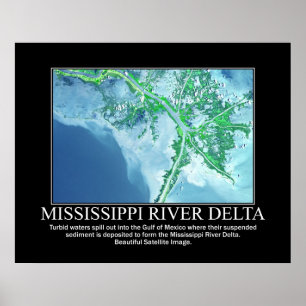 Satellitbild av Mississippi River Delta Poster