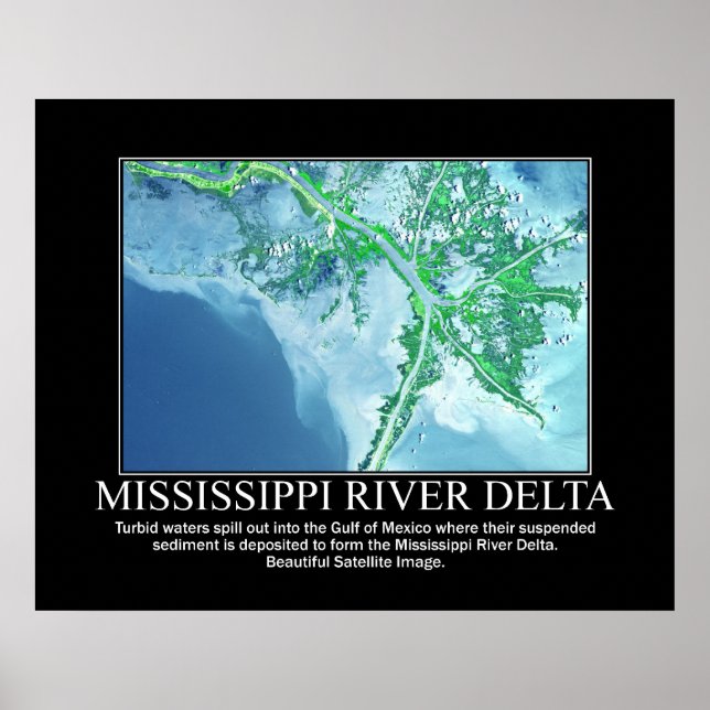 Satellitbild av Mississippi River Delta Poster (Framsidan)