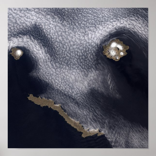 Satellitbild av Semisopochnoi-ön Poster (Framsidan)