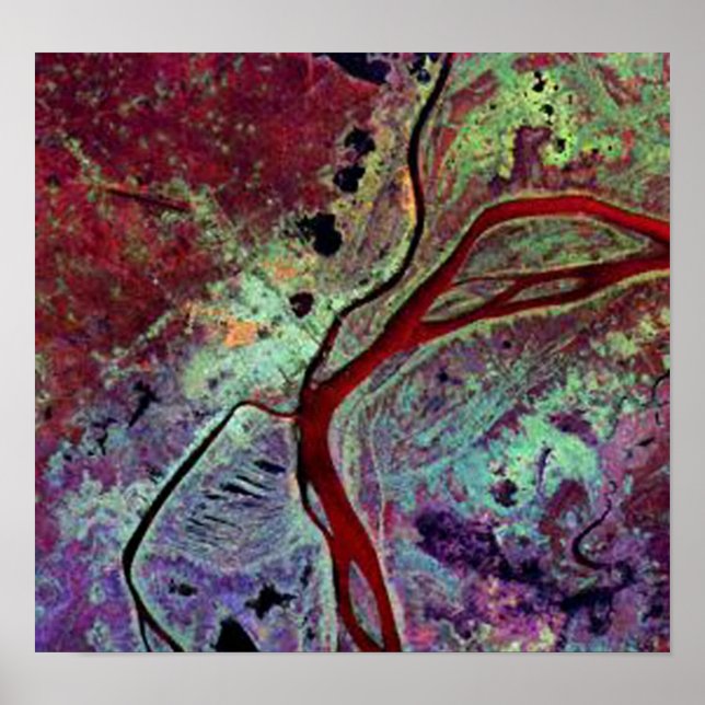 satellitbilder för fenomände poster (Framsidan)