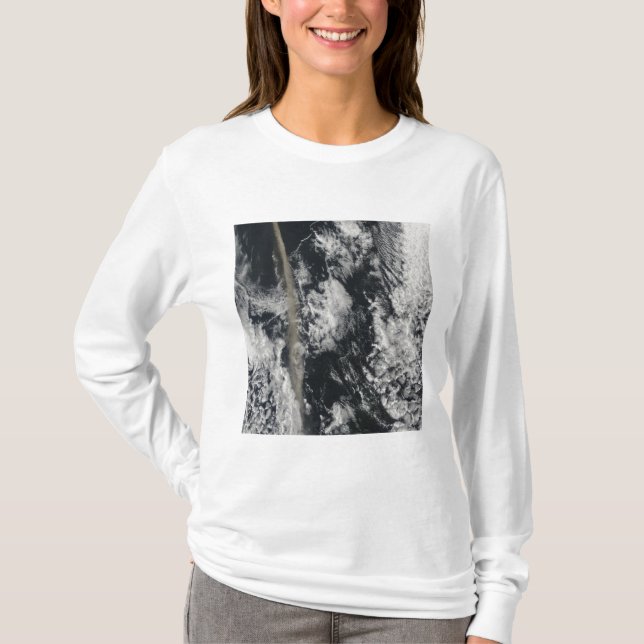 Satellitvy av en askplumma t-shirt (Framsida)