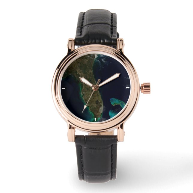 Satellitvy av Florida. Armbandsur (Framsida)
