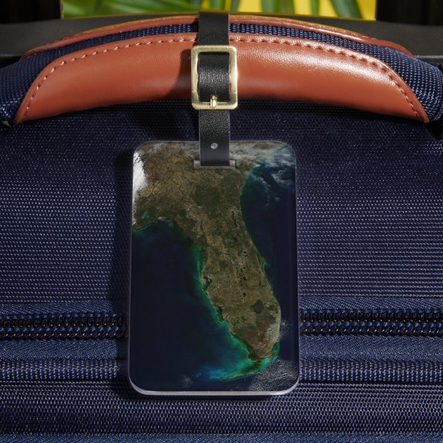 Satellitvy av Florida. Bagagebricka (Framsida Insitu 2)