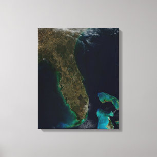 Satellitvy av Florida. Canvastryck
