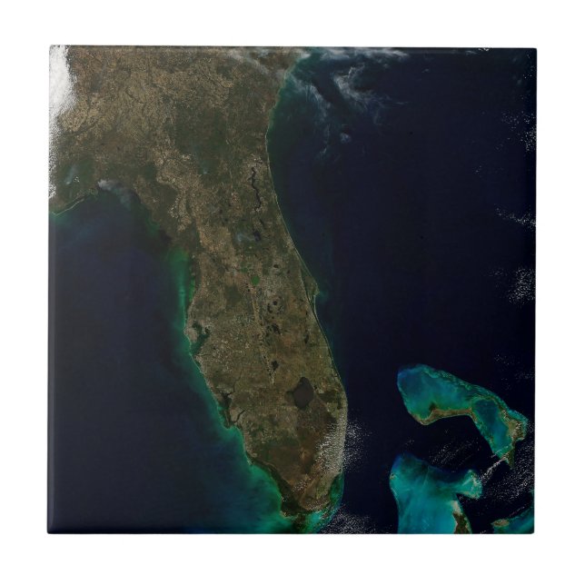 Satellitvy av Florida. Kakelplatta (Framsidan)
