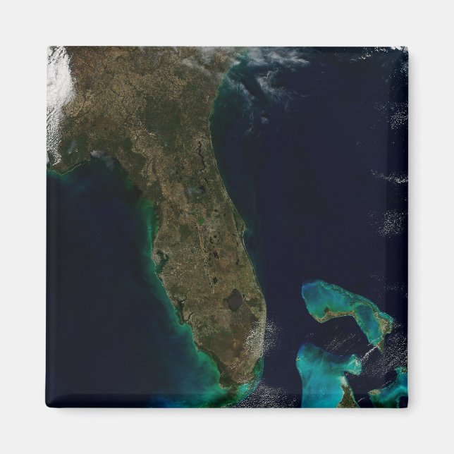Satellitvy av Florida. Magnet (Framsidan)