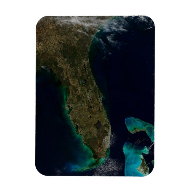 Satellitvy av Florida. Magnet (Vertikal)