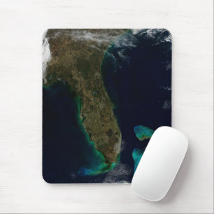 Satellitvy av Florida. Musmatta