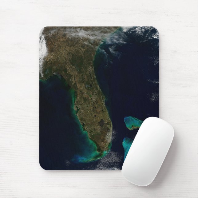 Satellitvy av Florida. Musmatta (Med mus)
